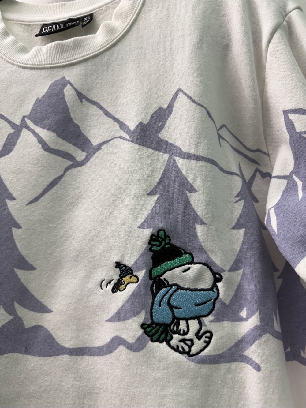 Peanuts x Aeropostale EUC crewneck soft microfleece sweater with raw hem